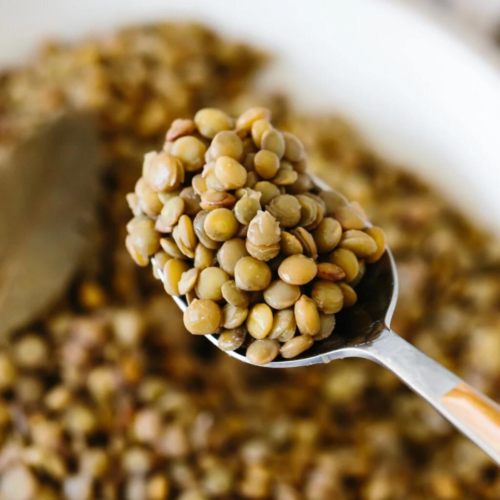 cooked lentils in a spoon